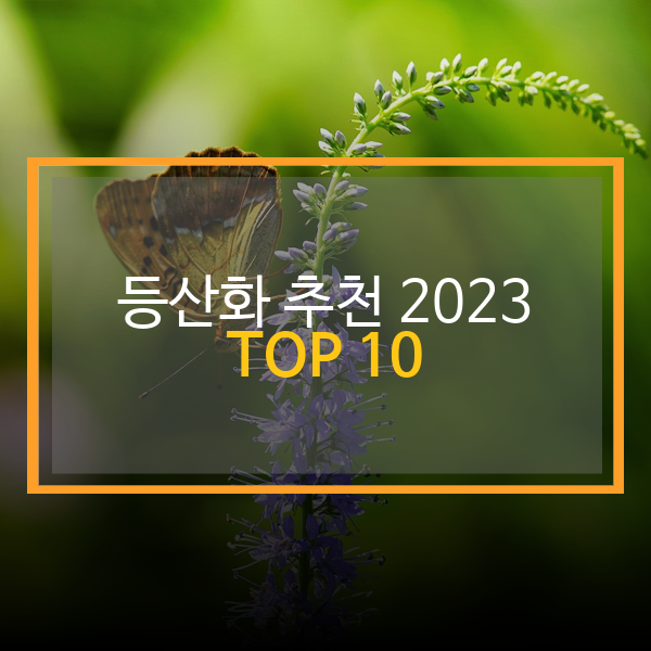 2023 10 06 0008 22 등산화 추천 2023